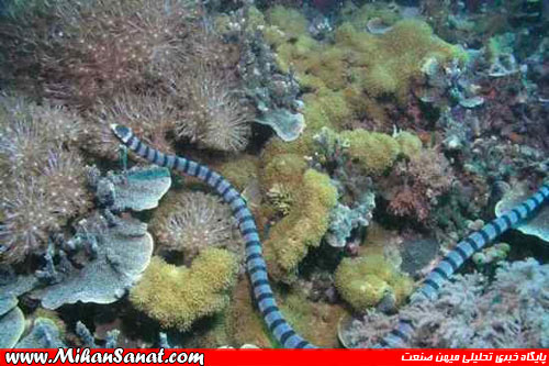 http://mihansanat.ir/upload/img/1779284_504.jpg