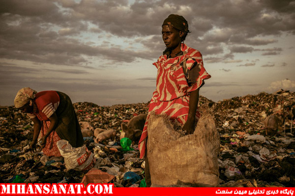 http://www.mihansanat.ir/upload/img/Amongst-the-Scavengers-jpg_175234.jpg