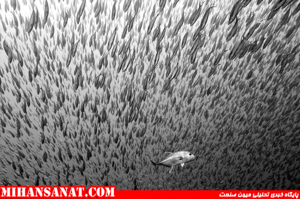 http://www.mihansanat.ir/upload/img/Predation-up-close-and-personal-jpg_175241.jpg