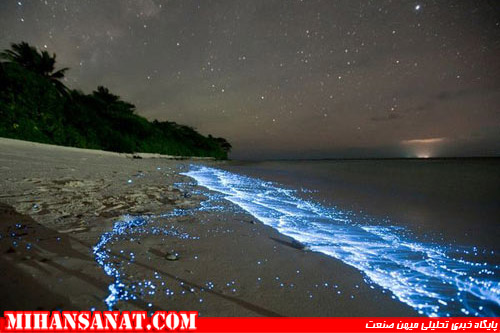 http://www.mihansanat.ir/upload/img/glowing-waves-bioluminescent-ocean-life-explained-scintillans_50152_600x450.jpg
