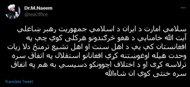 طالبان