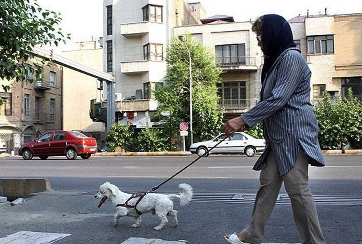 حیوانات